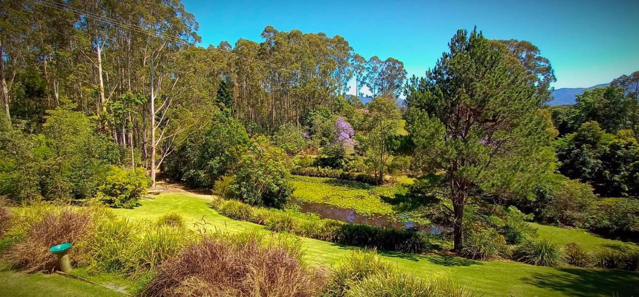 Lilypad Luxury Cabins Bellingen Bagian luar foto