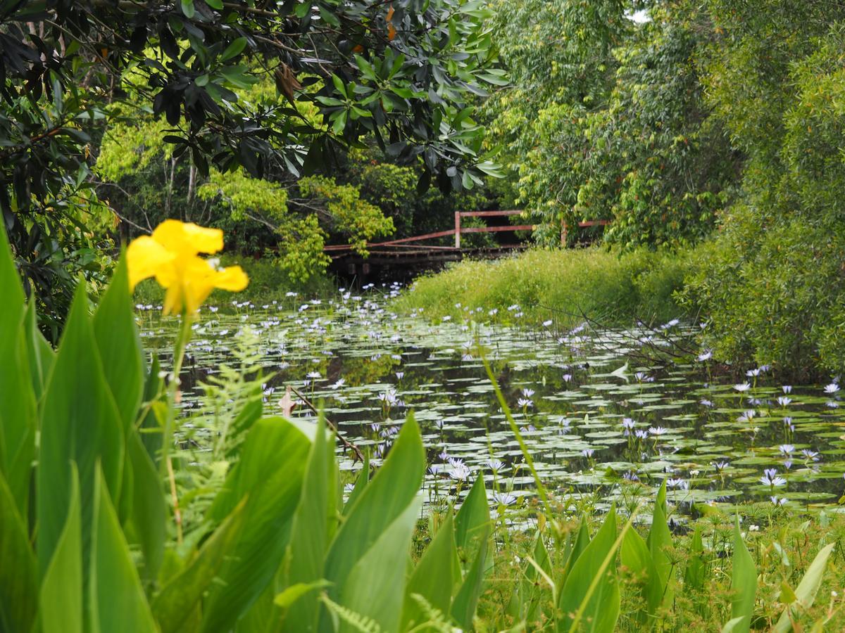 Lilypad Luxury Cabins Bellingen Bagian luar foto